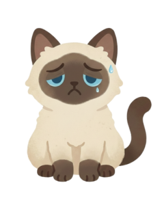Critic Cat looking sad